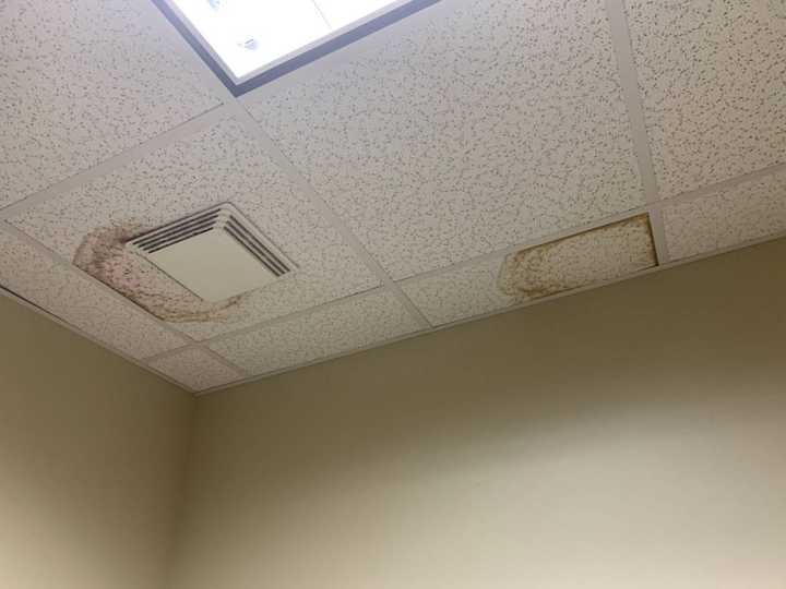 Water-stained ceiling tiles inside Paradise Car Wash in Maple Grove, photographed during the roof inspection, August 2019