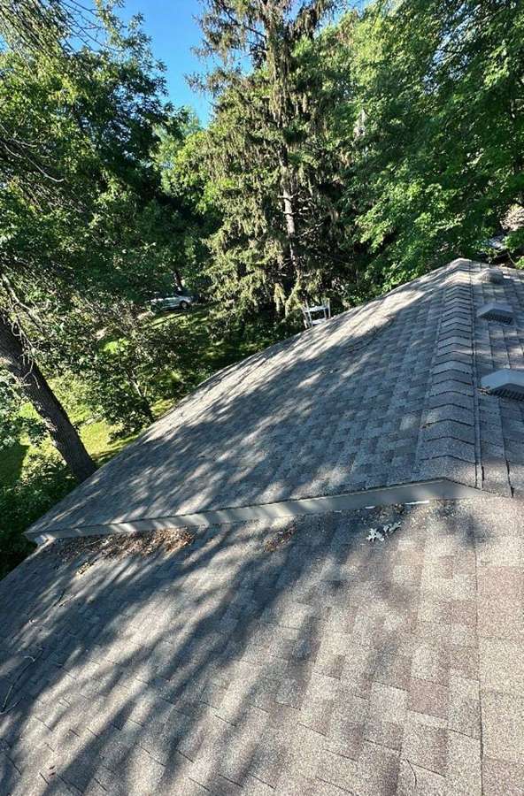 Roof slope under tall trees on an Annandale lake lot, July 2023