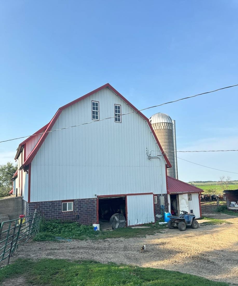 Gambrel dairy barn and silo on a farm near Goodhue, photographed during a roof inspection, August 2024