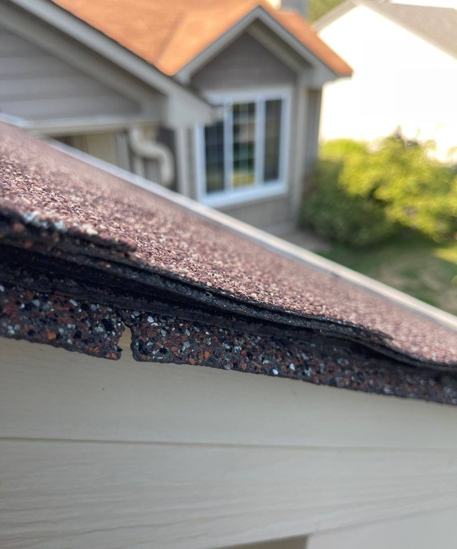 Close-up of a curled, damaged shingle edge found during a Rosemount roof inspection, 2022