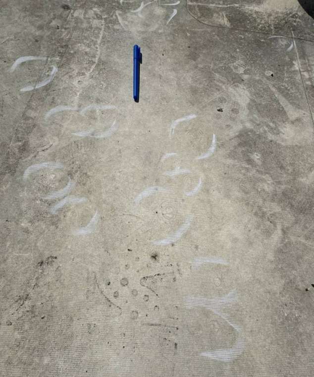 Chalk circles marking impact spots on the coated flat roof of The Nook on Hamline Avenue South in St. Paul, April 2024