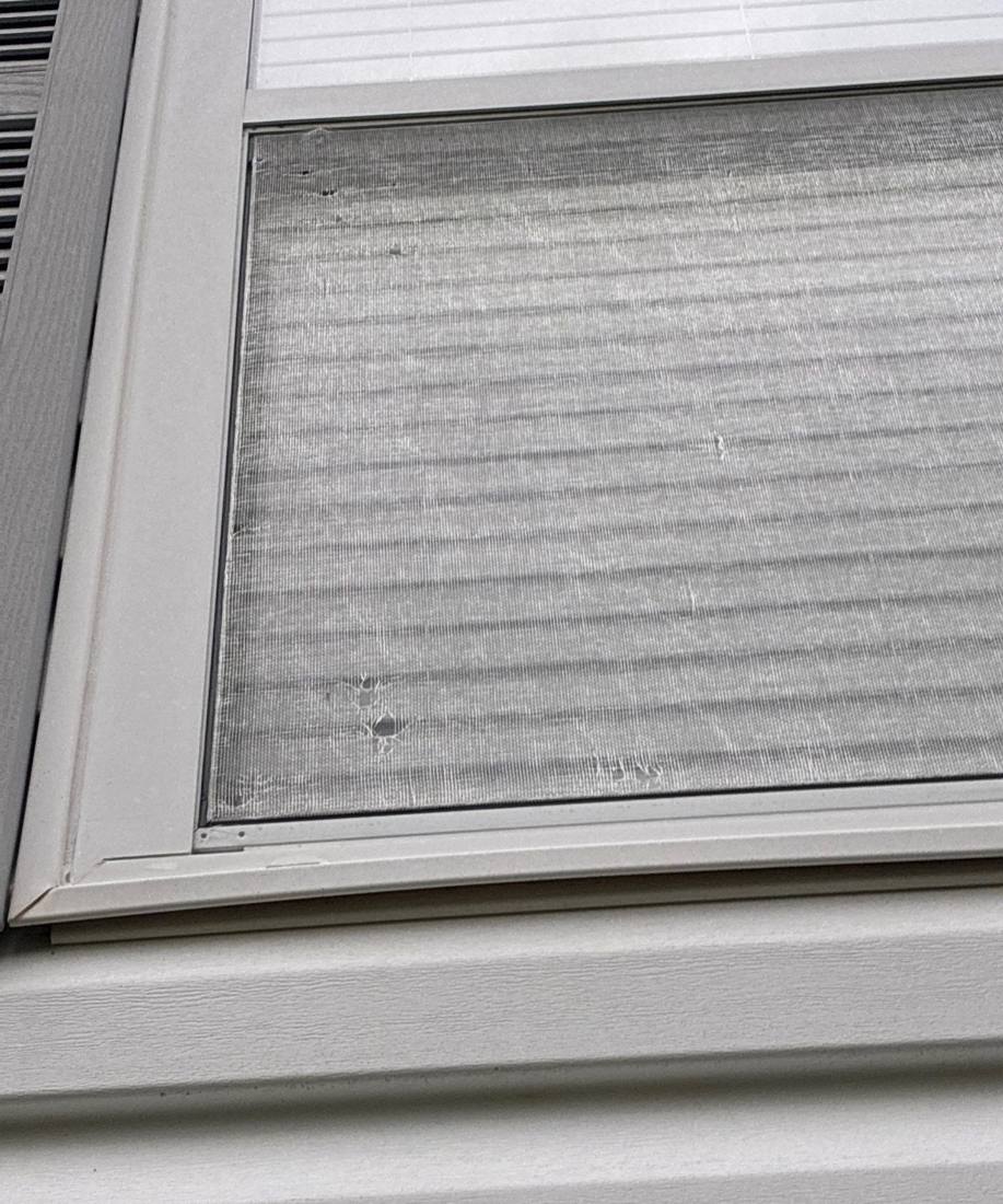 Hail damage found on a window screen during a Plainfield inspection, April 2026
