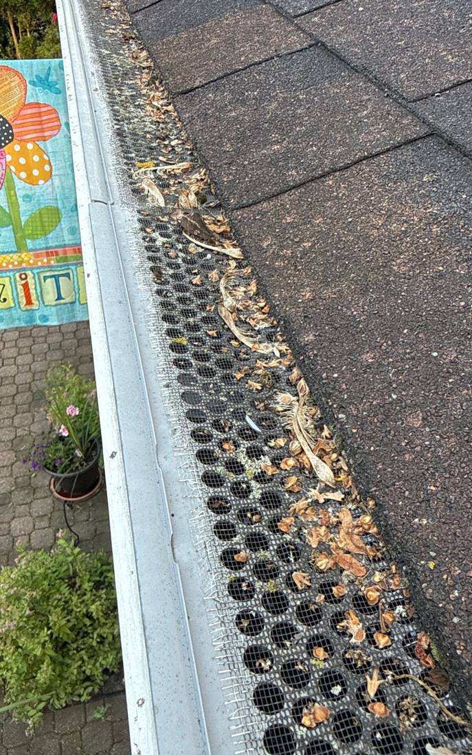Debris-filled gutter guard on a Roseville home along Orchard Lane, June 2026