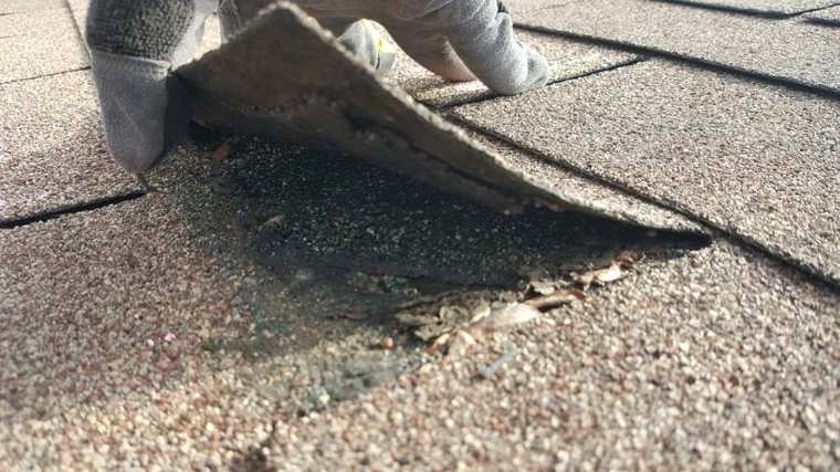 Inspector's gloved hand lifting a shingle tab whose seal strip has let go on a Maple Park Shores townhome roof in Maplewood, MN