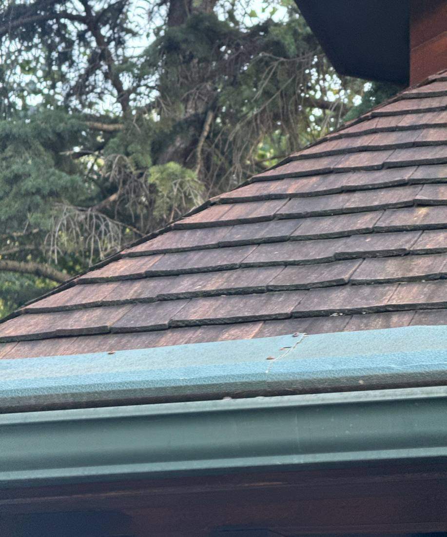 Close-up of a shingled gazebo roof and gutter during a Burnsville inspection, August 2025