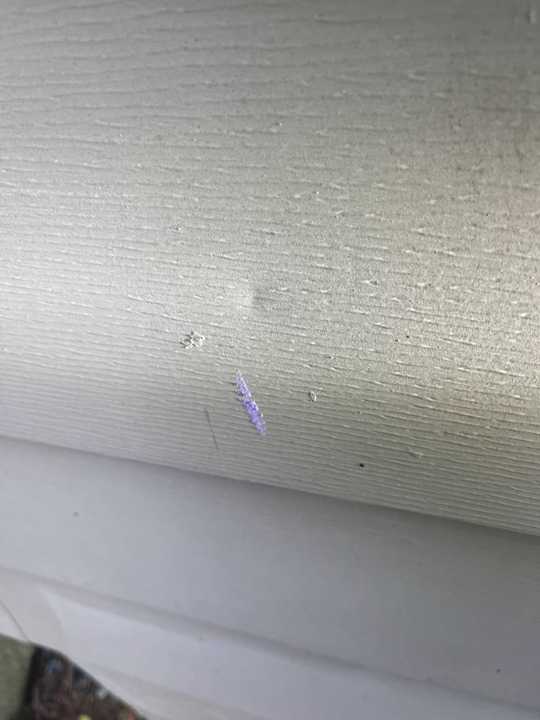 A chalk-marked hail dent on lap siding at a New Prague home, August 2021