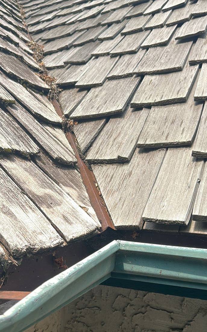 Weathered cedar shake roof plane on a Hopkins home, showing curling and gaps between shakes, August 2023