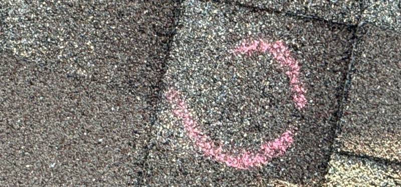 Hail hit circled in chalk on a St. Paul shingle during a Repair King inspection