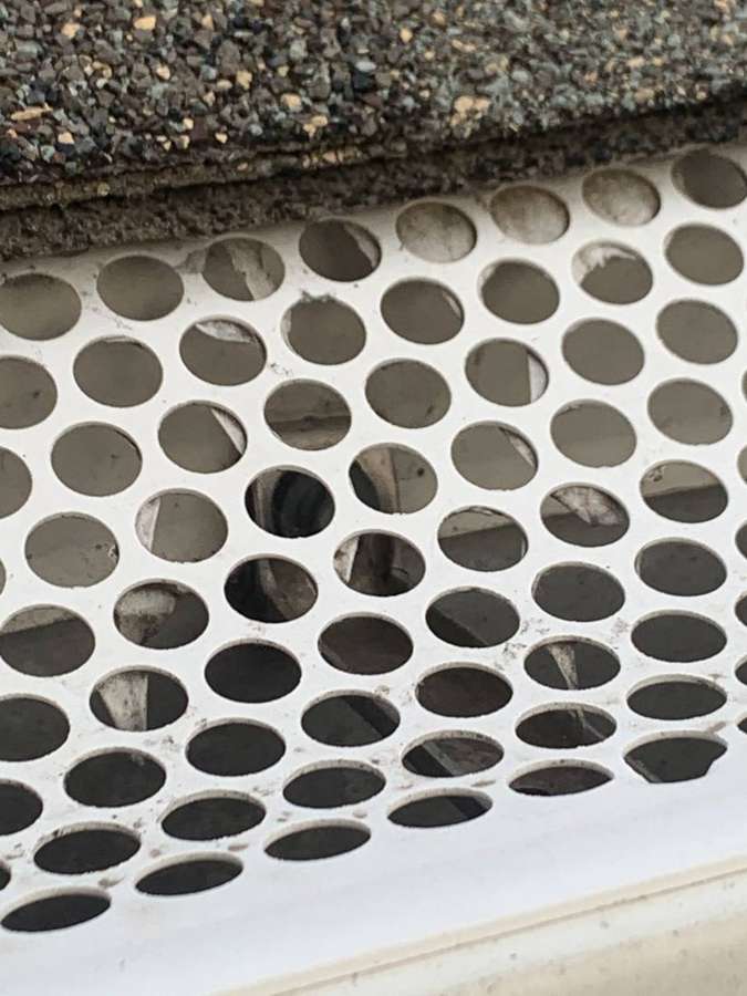 A perforated gutter guard close up, photographed from the eave