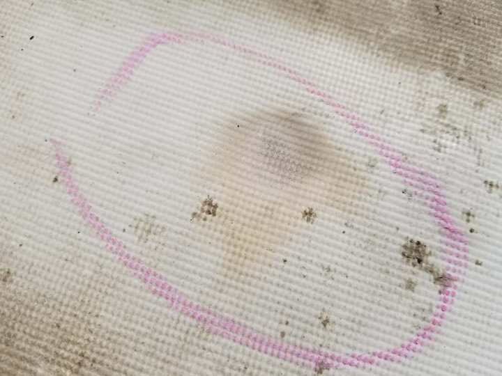 Pink-circled mark and staining on the fabric-reinforced membrane roof of the Good Earth restaurant building in Roseville, MN