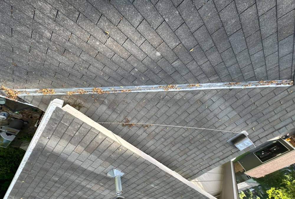 View down a Minnetonka roof ridge toward the tree canopy, June 2024
