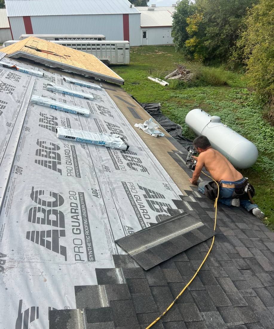 New shingles going on over synthetic underlayment at a Cokato-area farm, September 2023