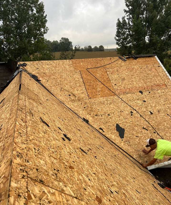 Repair King roofer fitting new sheathing on a farmhouse roof at a hog farm near Cokato, September 2023