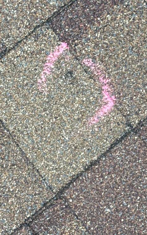 Pink chalk arc marking a hail hit on an asphalt shingle during a Repair King inspection in Stacy, MN, June 2026