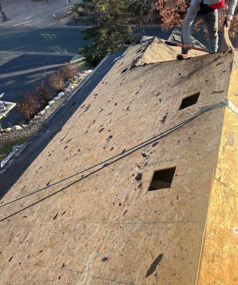Bare OSB decking exposed during a Fridley tear-off, crew working the ridge, December 2023