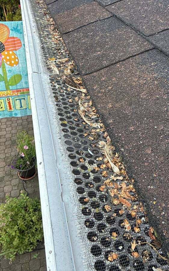 Debris-filled gutter guard on a Roseville home along Orchard Lane, June 2026