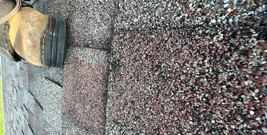 Close-up of asphalt shingle granules on a Farmington roof, July 2023