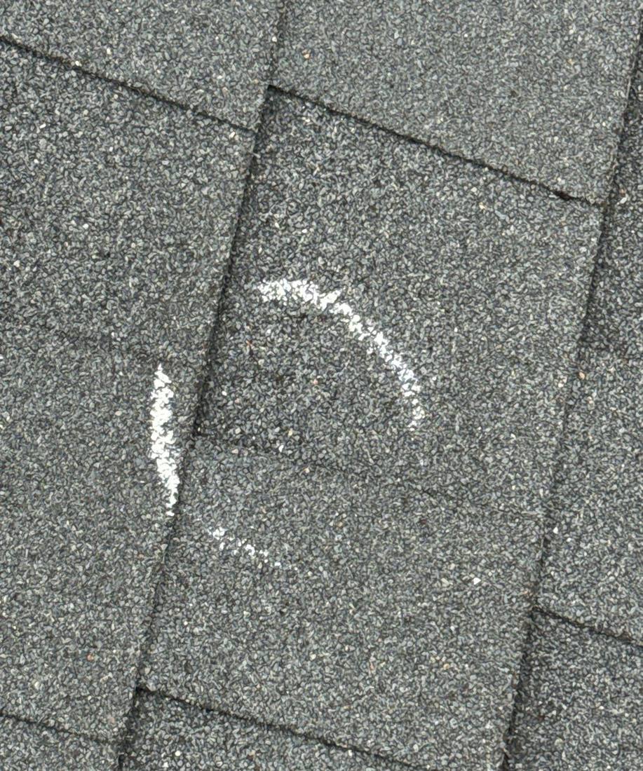 Chalk-marked hail hit on an asphalt shingle during a Goodhue roof inspection, August 2024