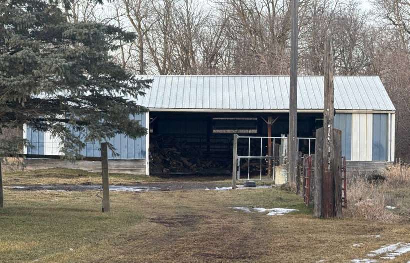 Steel-roofed outbuilding among the pines on a Little Falls-area farm, January 2024