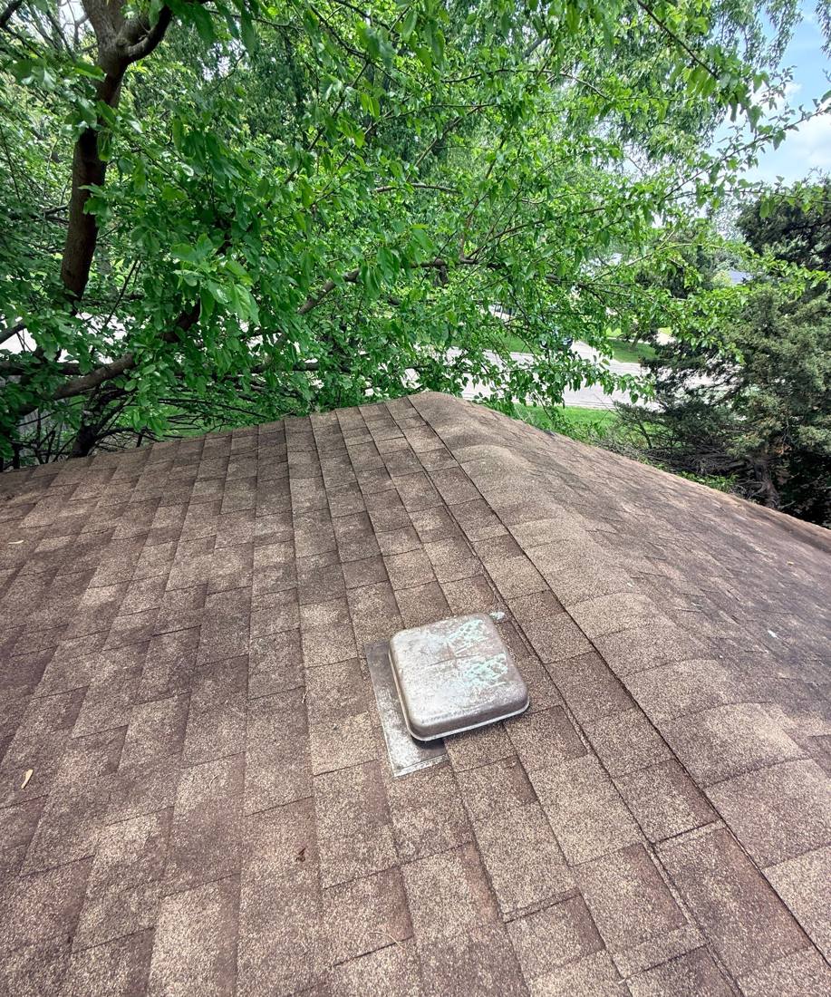 Tree-canopy view across a Darien roof during a spring 2026 inspection