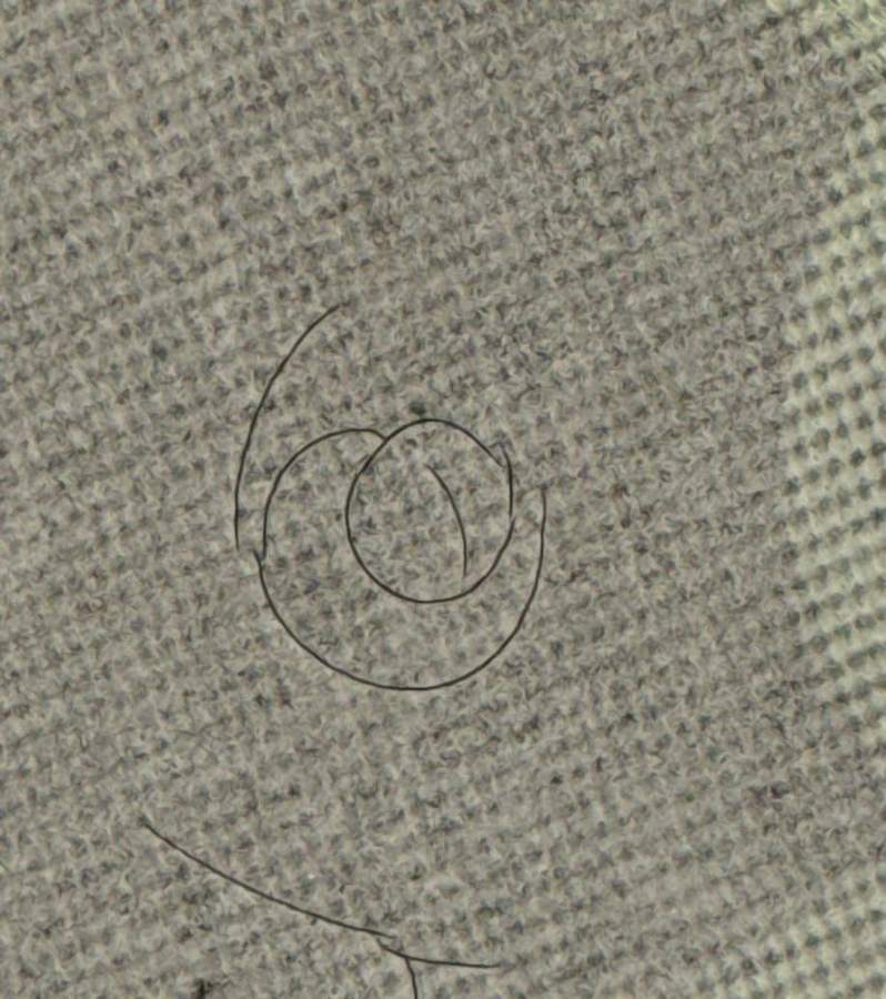 Chalk circle around a small hail mark in the textured membrane of the flat roof at 106 South Main Street, Stillwater, MN