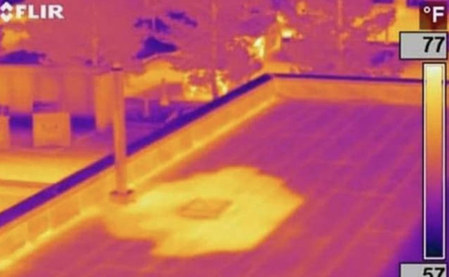 Hidden leak mapping: Repair King forensic inspection, Minnesota