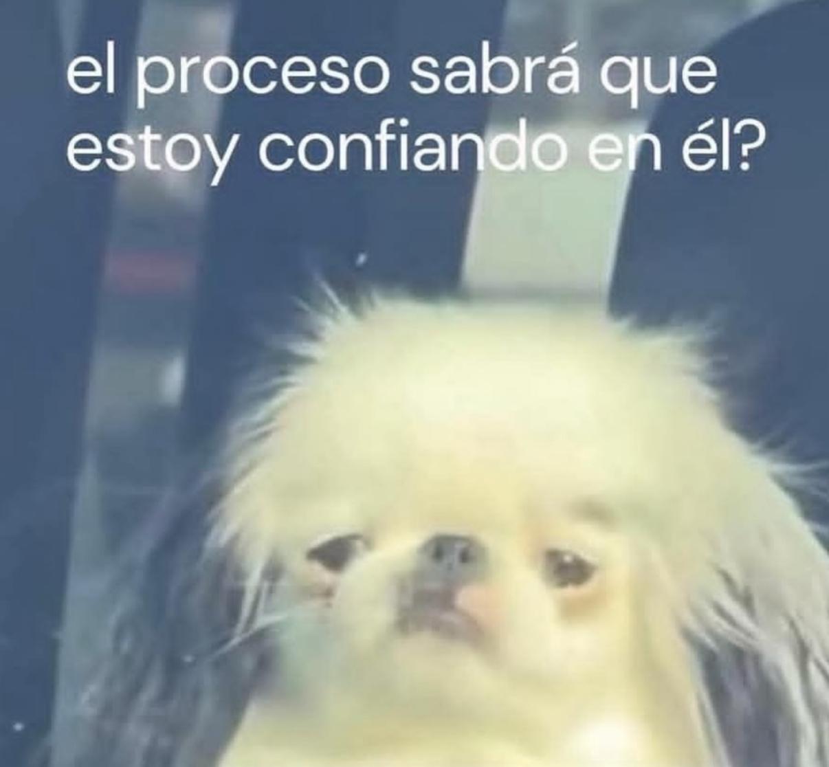 ¿El proceso sabrá que estás confiando en él? 🤔 El arte de no desesperar en el Marketing Musical 🐾