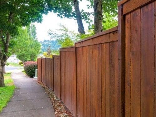 Fence Staining & Painting in Charlotte