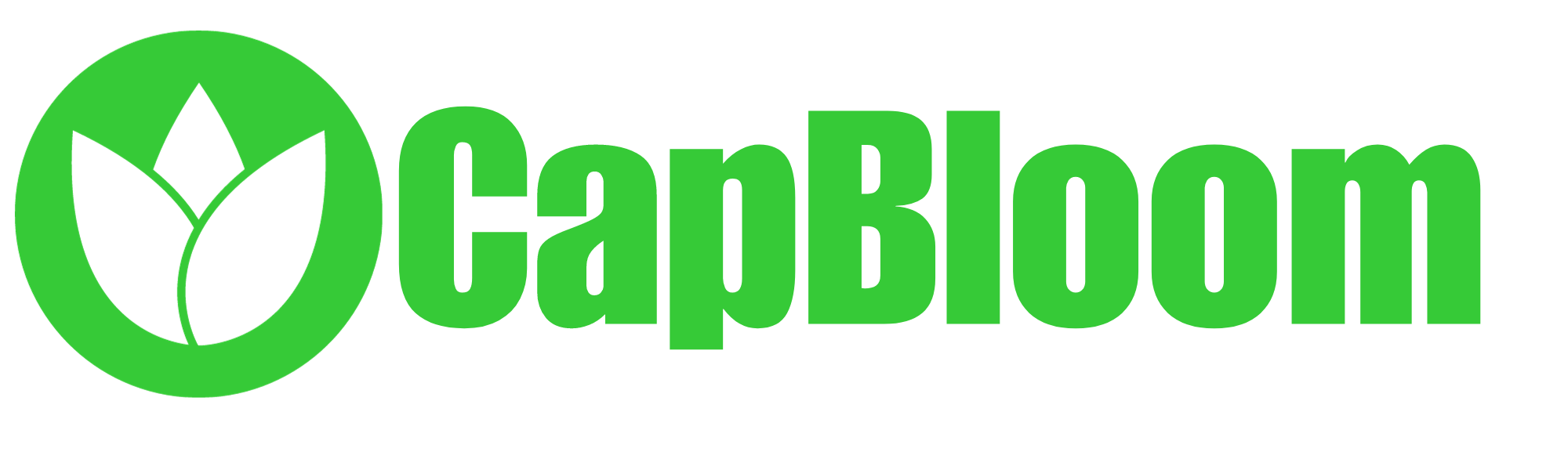 CapBloom Marketing Solutions Automation System