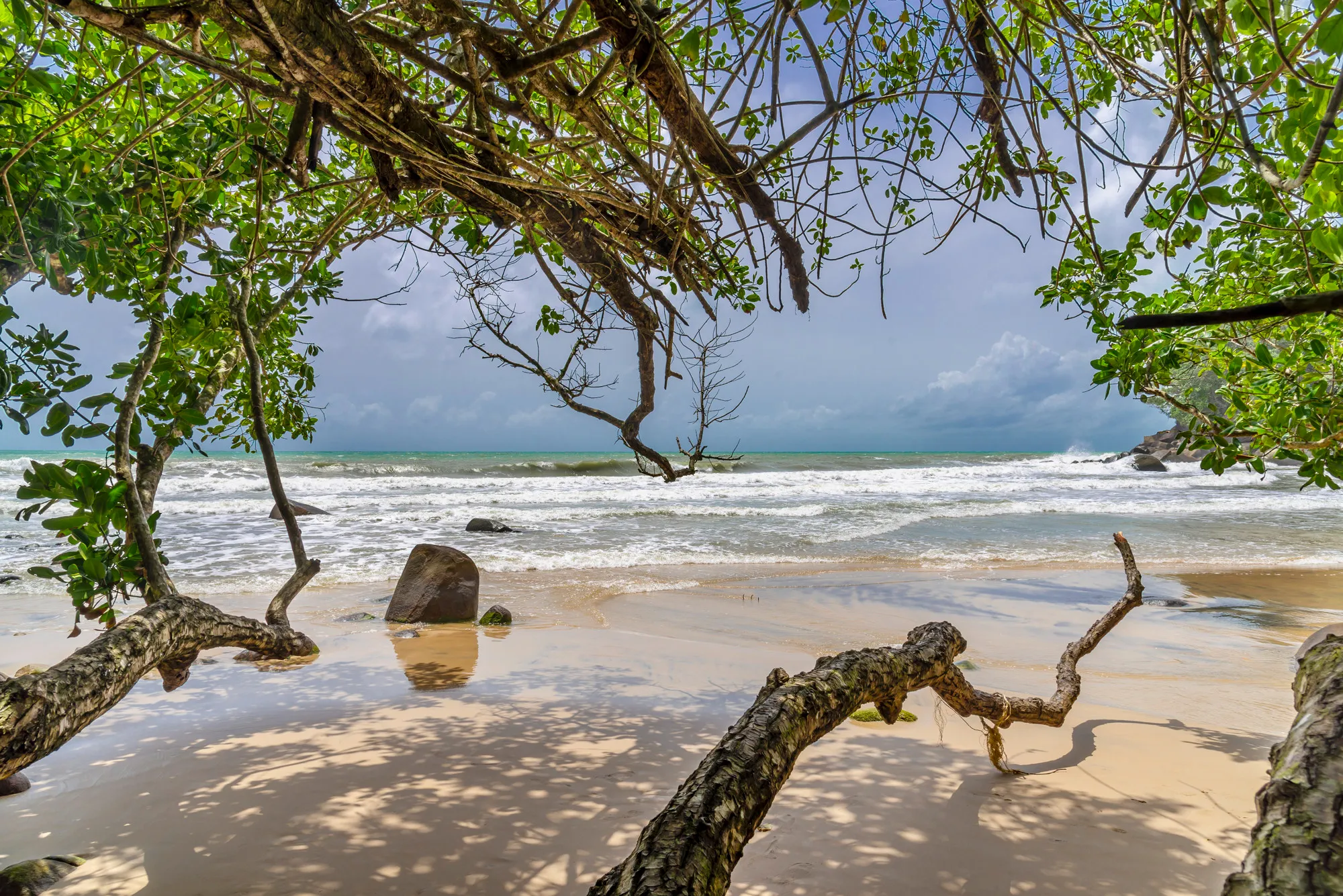 Drake Bay to Sierpe boat transportation by NAYEL