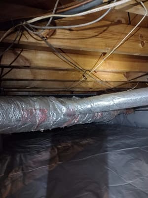 Kitchen mold removal in Decatur GA
