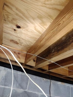 Basement mold removal in Decatur GA