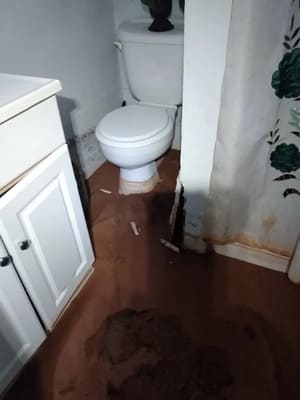 Bathroom mold removal in Atlanta GA