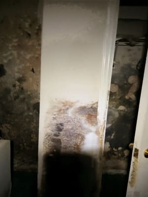 Laundry room mold removal in Atlanta GA