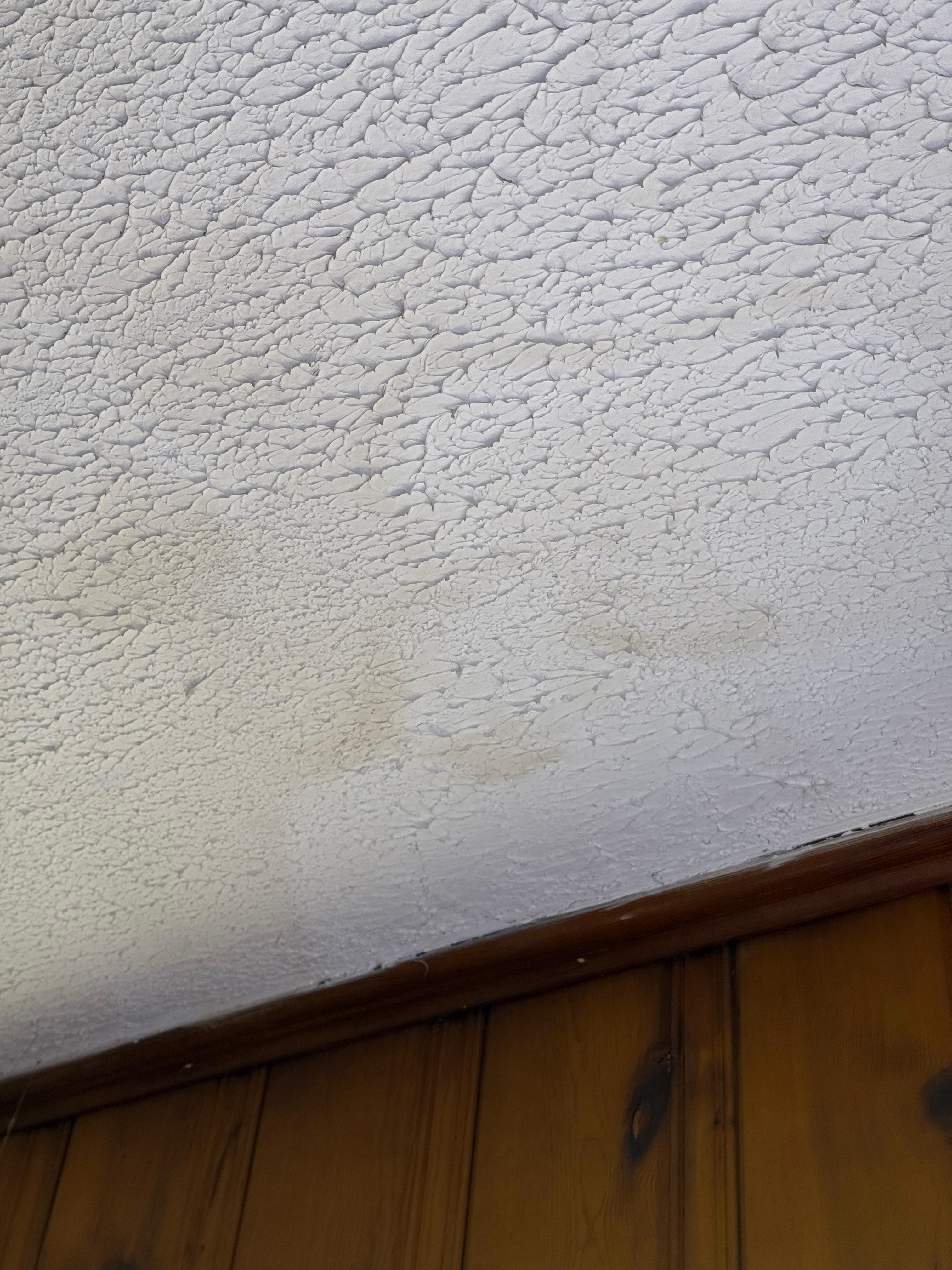 Mold Remediation Orlando