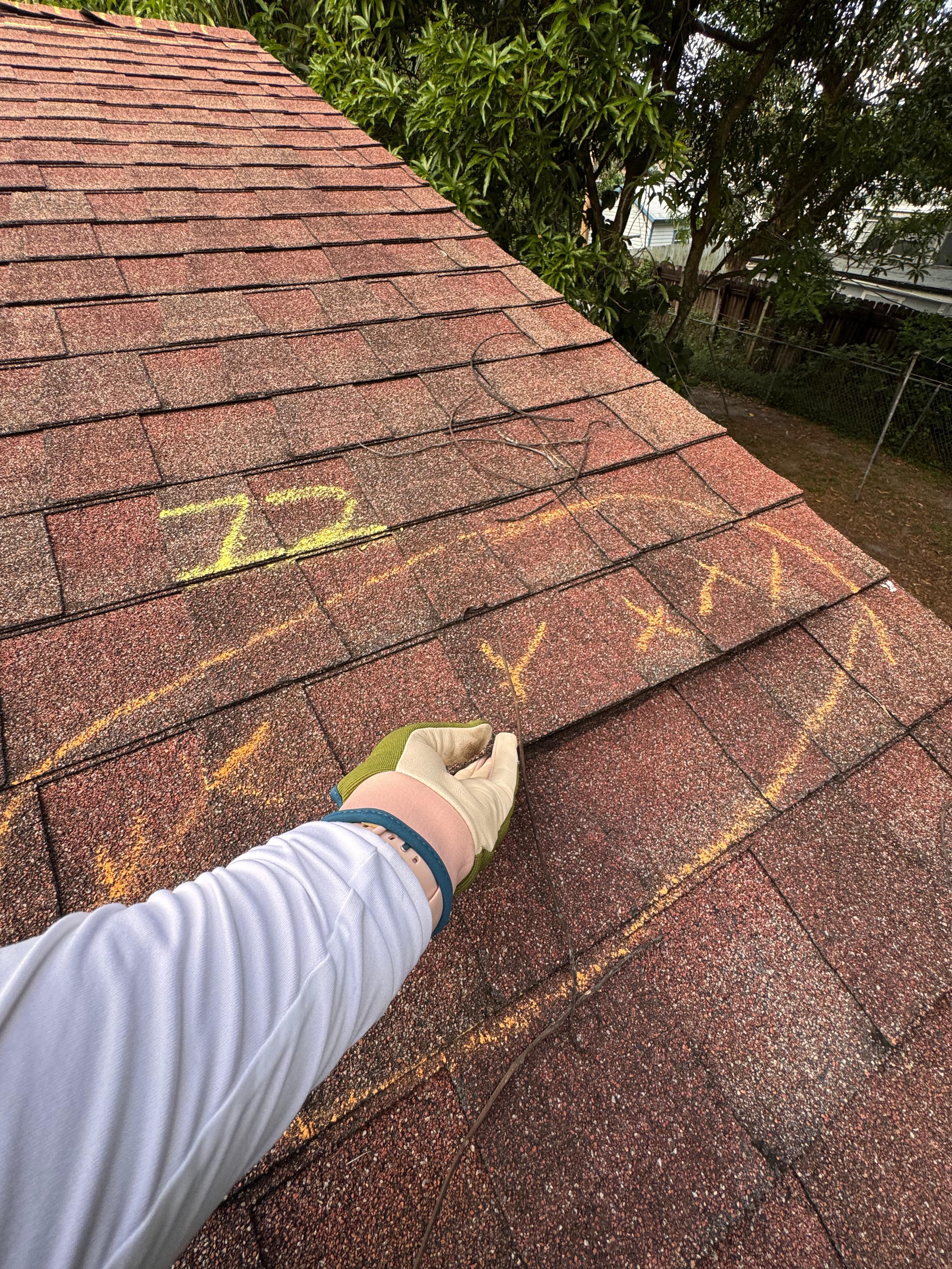 Water Damage Restoration Orlando
