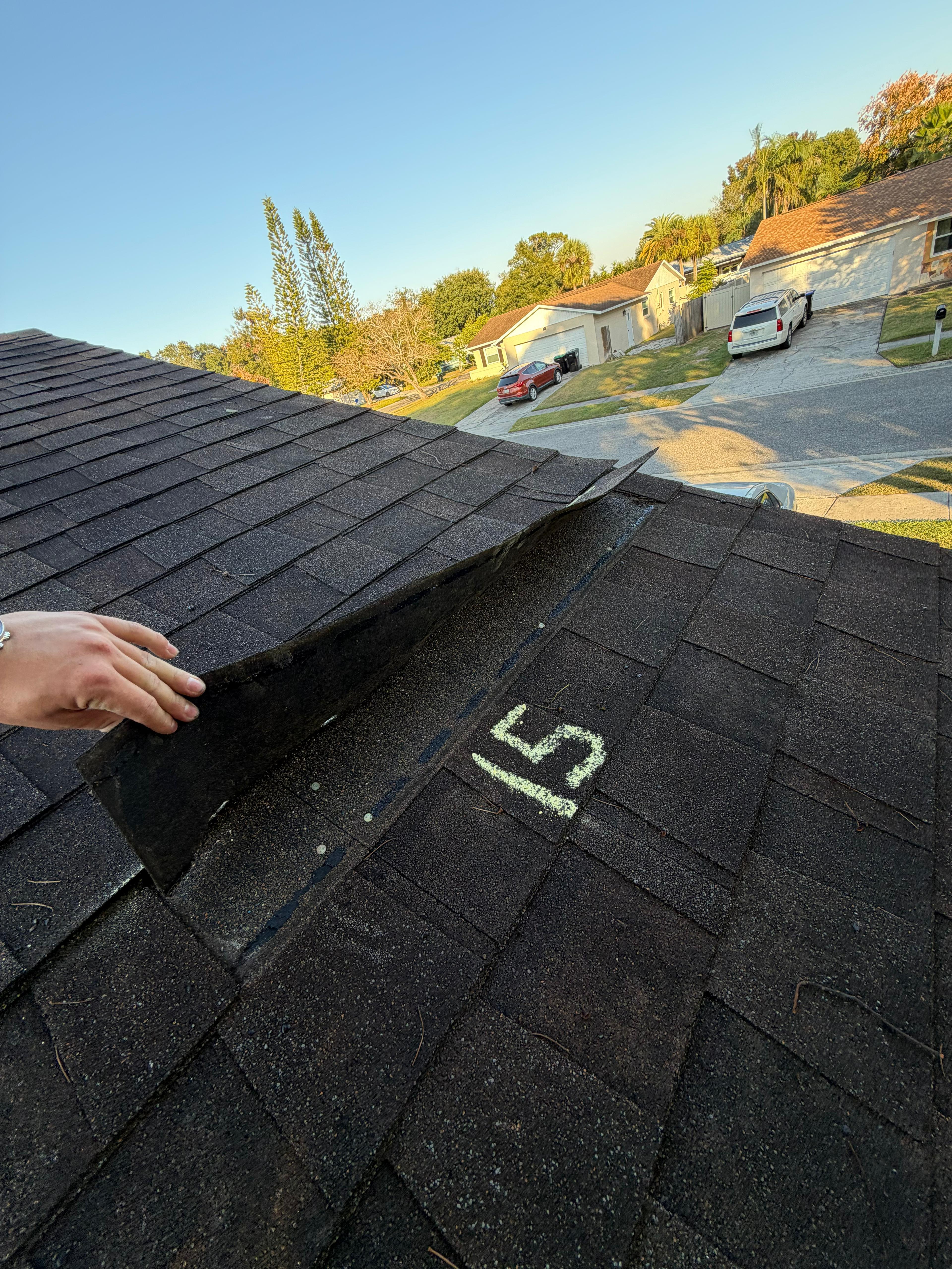 Mold remediation Central Florida