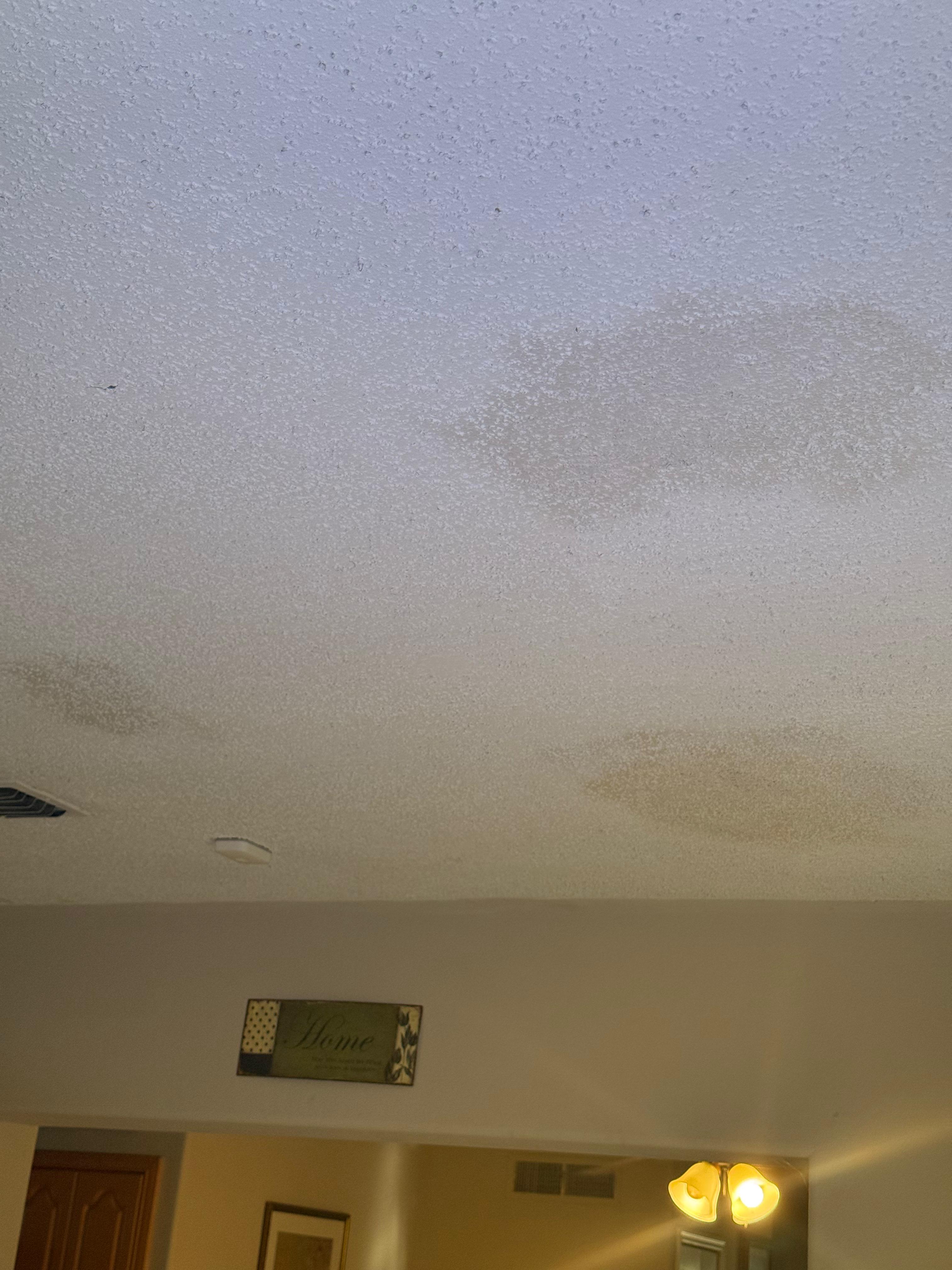 Restoration project Orlando