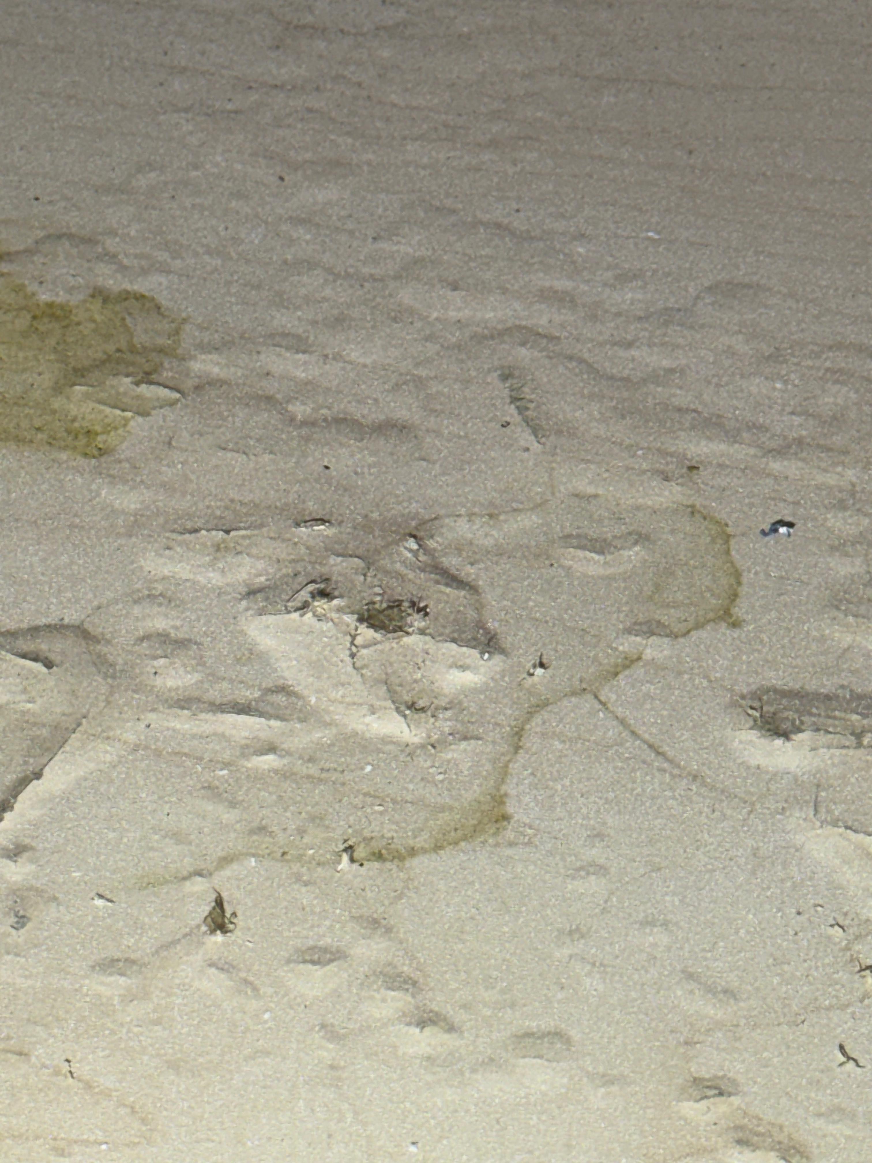 Property reconstruction Orlando