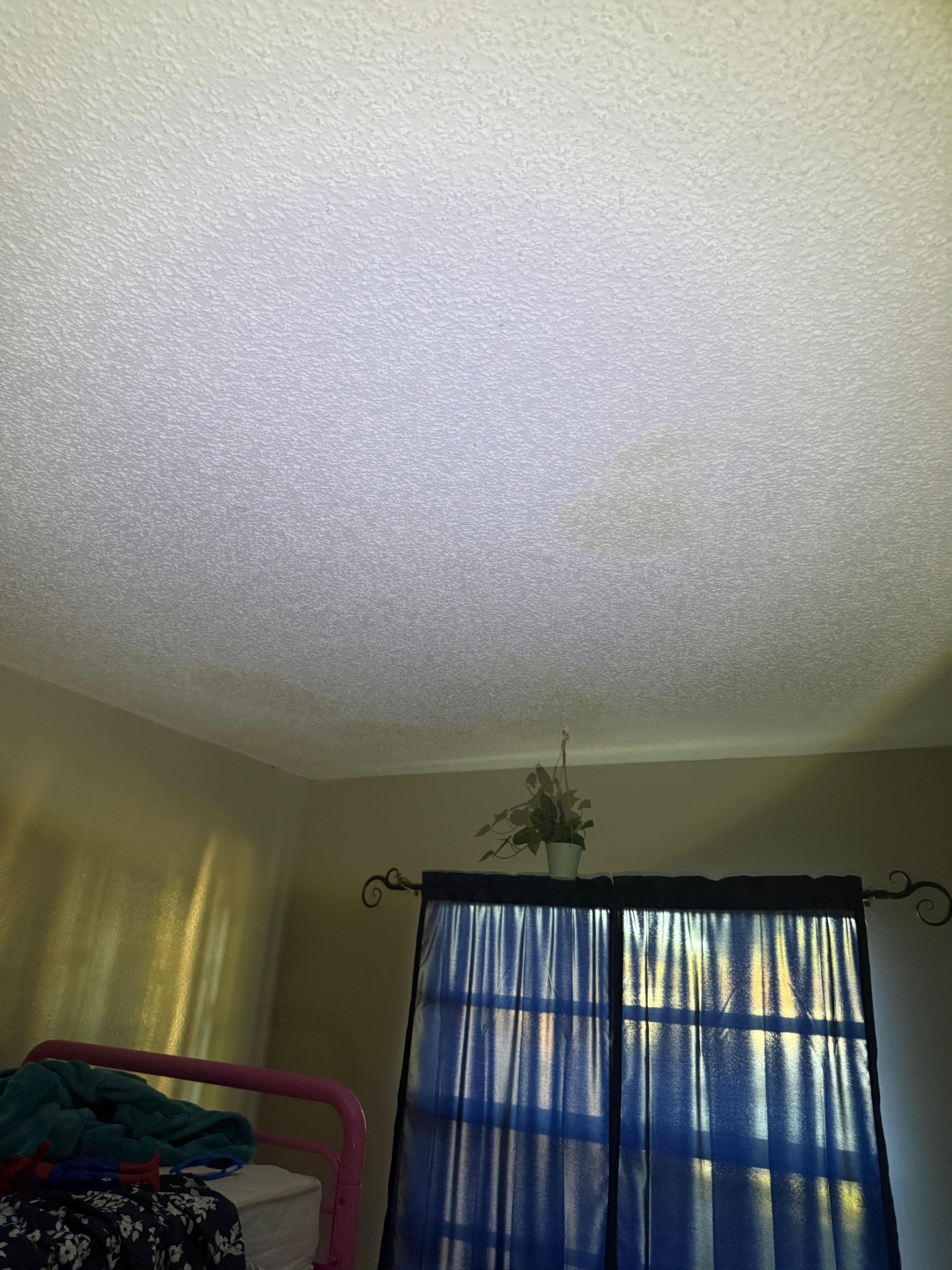Water damage repair Orlando