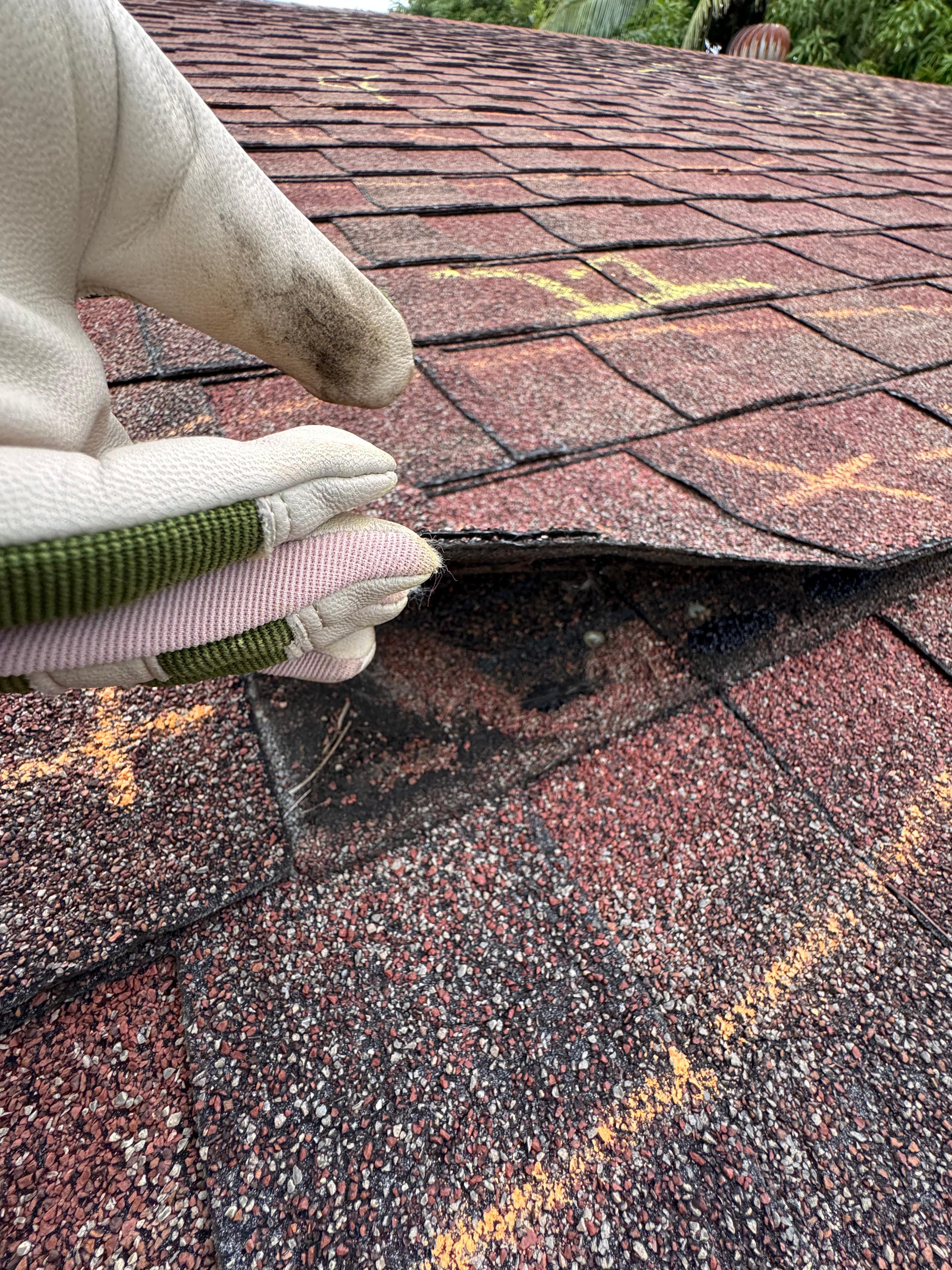 Home Protectors Orlando restoration team