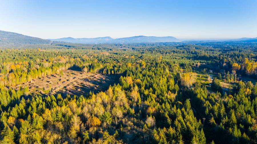 Aerial of the Elk Ridge land in autumn