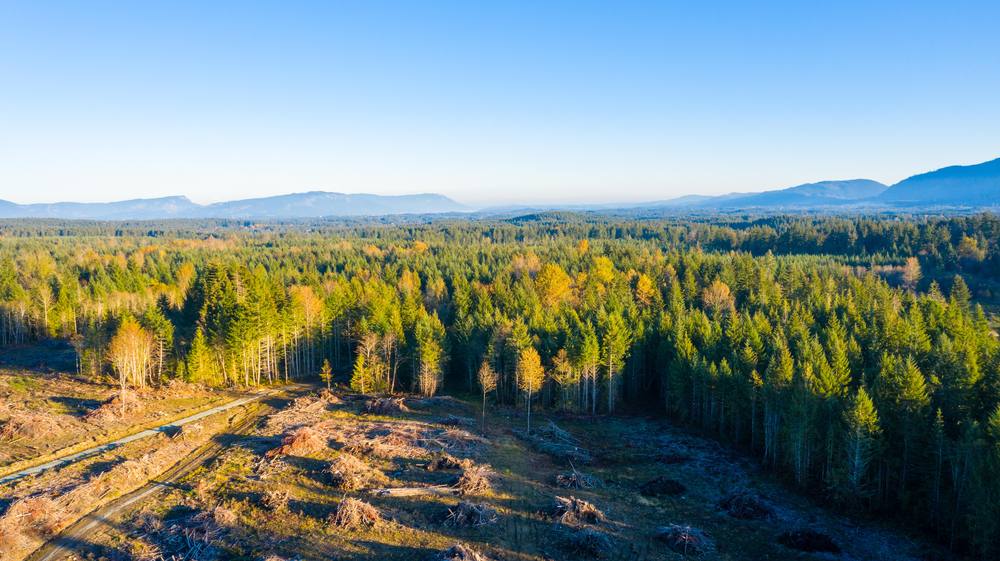 Elk Ridge site with mountains beyond