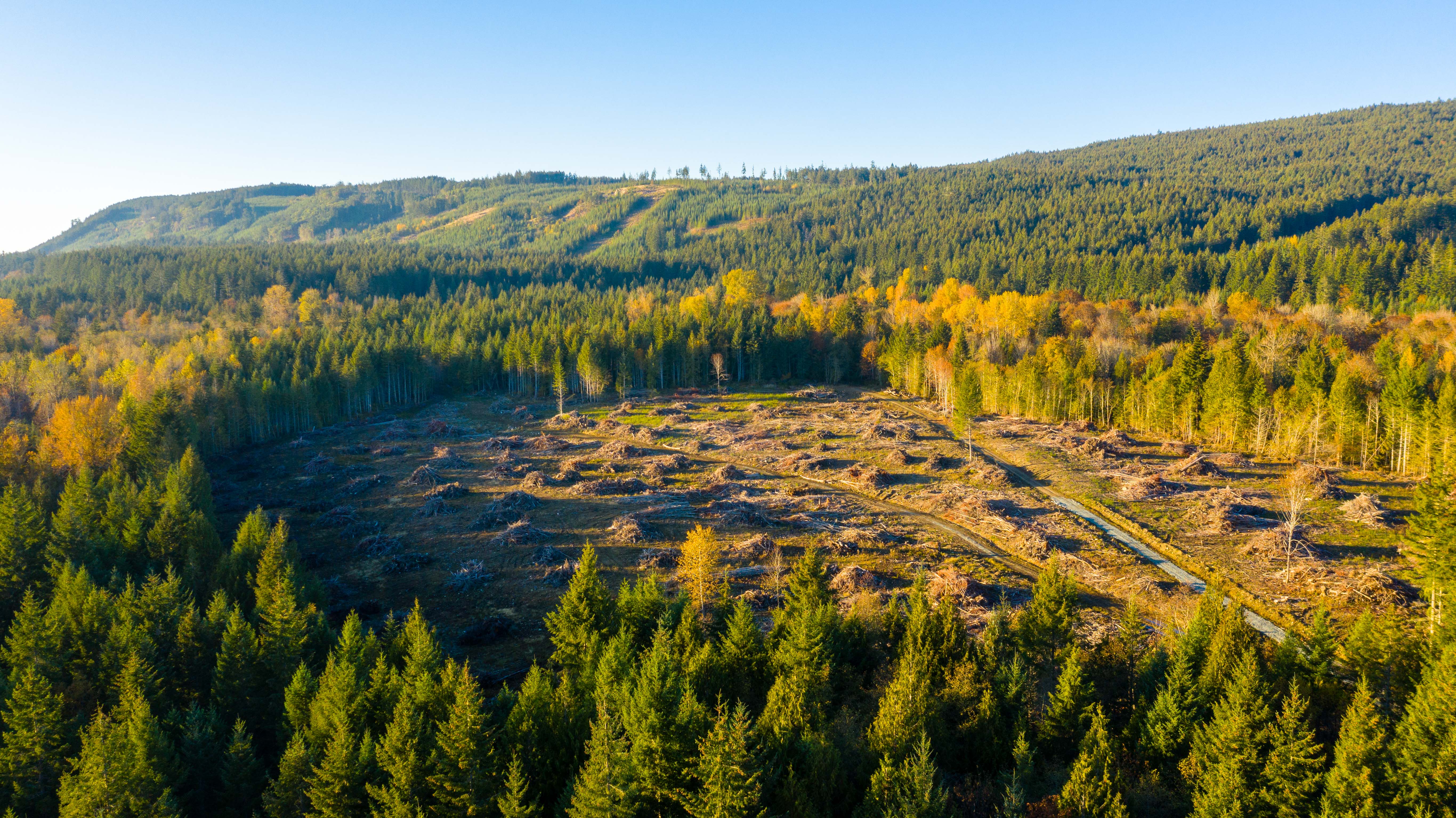 Elk Ridge site with mountains beyond