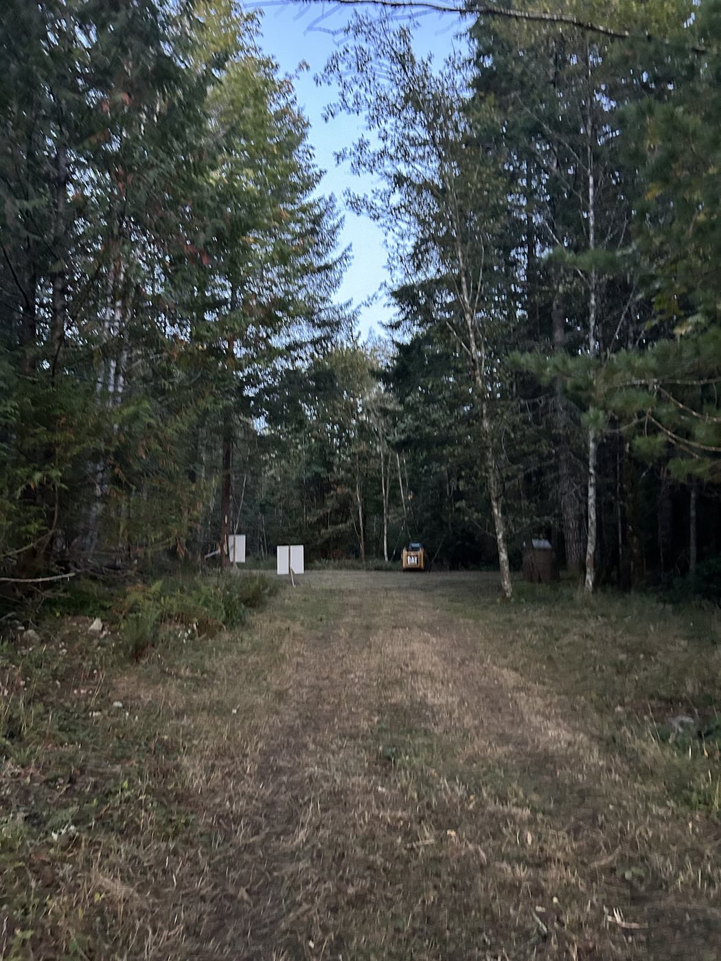 Mowed grass lane through fir and birch forest, with equipment in the distance