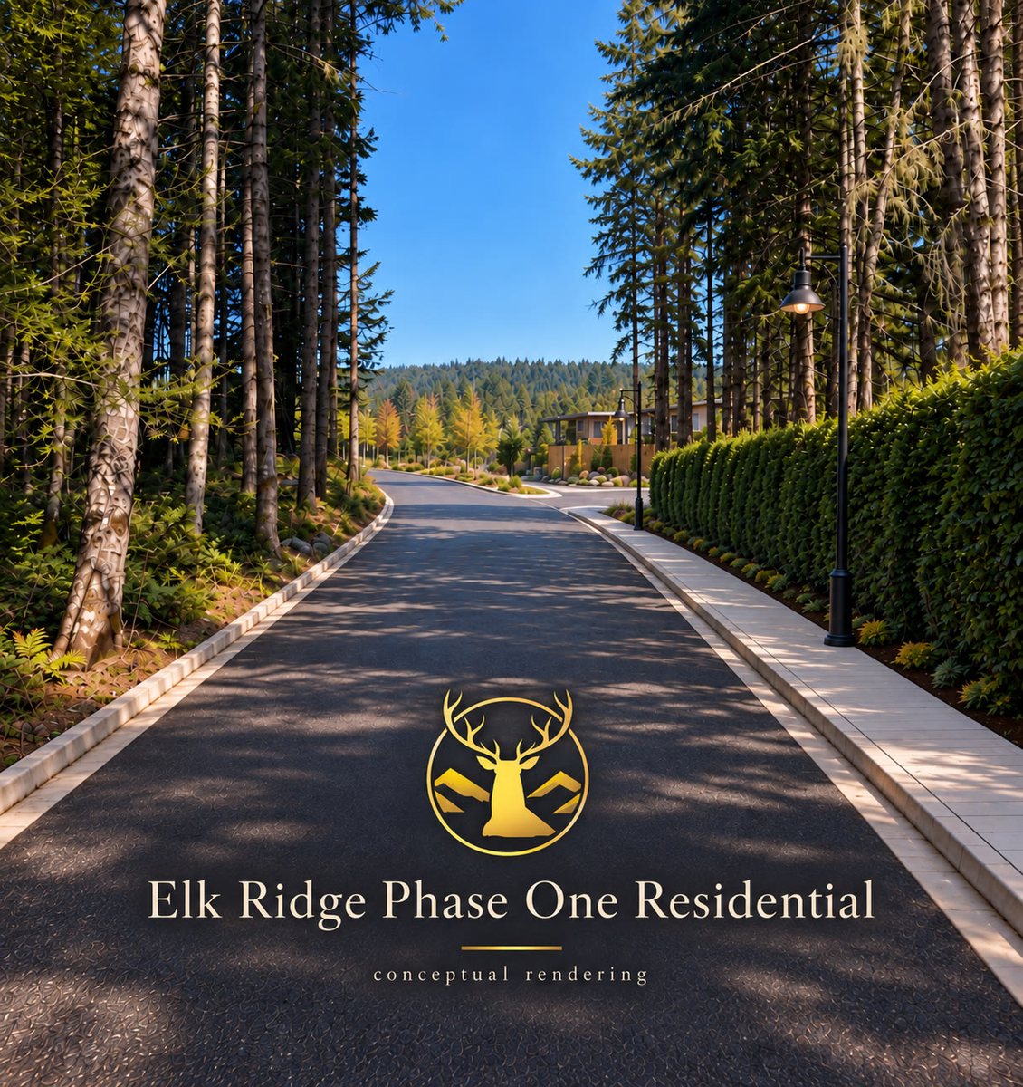 Conceptual rendering of the Phase 1 entrance road through the trees