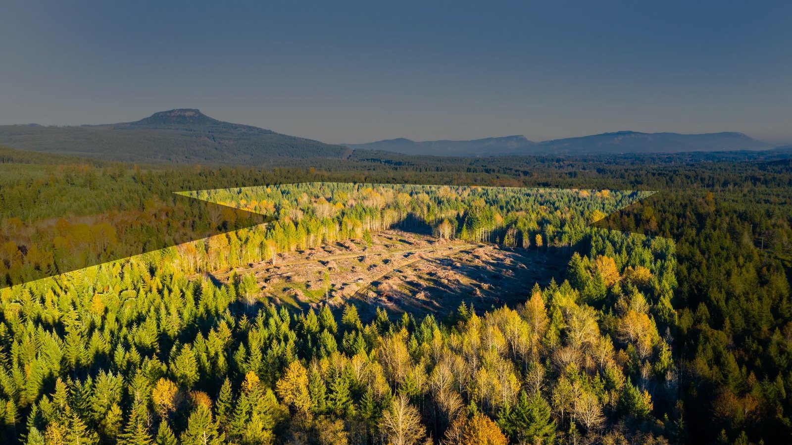 Aerial drone photo of the Elk Ridge land with the Phase 1 area outlined