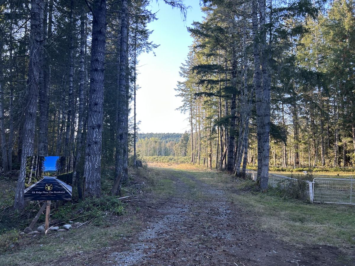 Gravel entrance road between tall firs with the Elk Ridge Phase One Residential sign