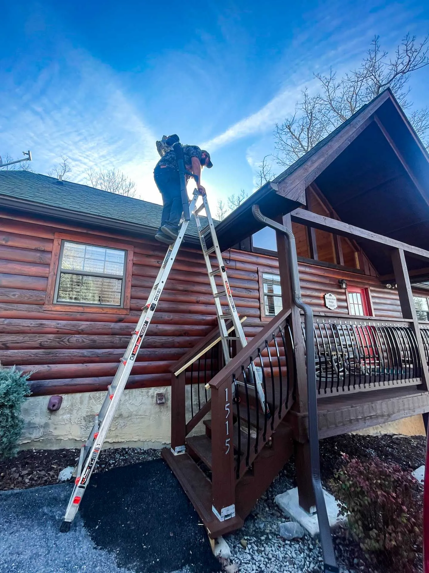 Roof cleaning