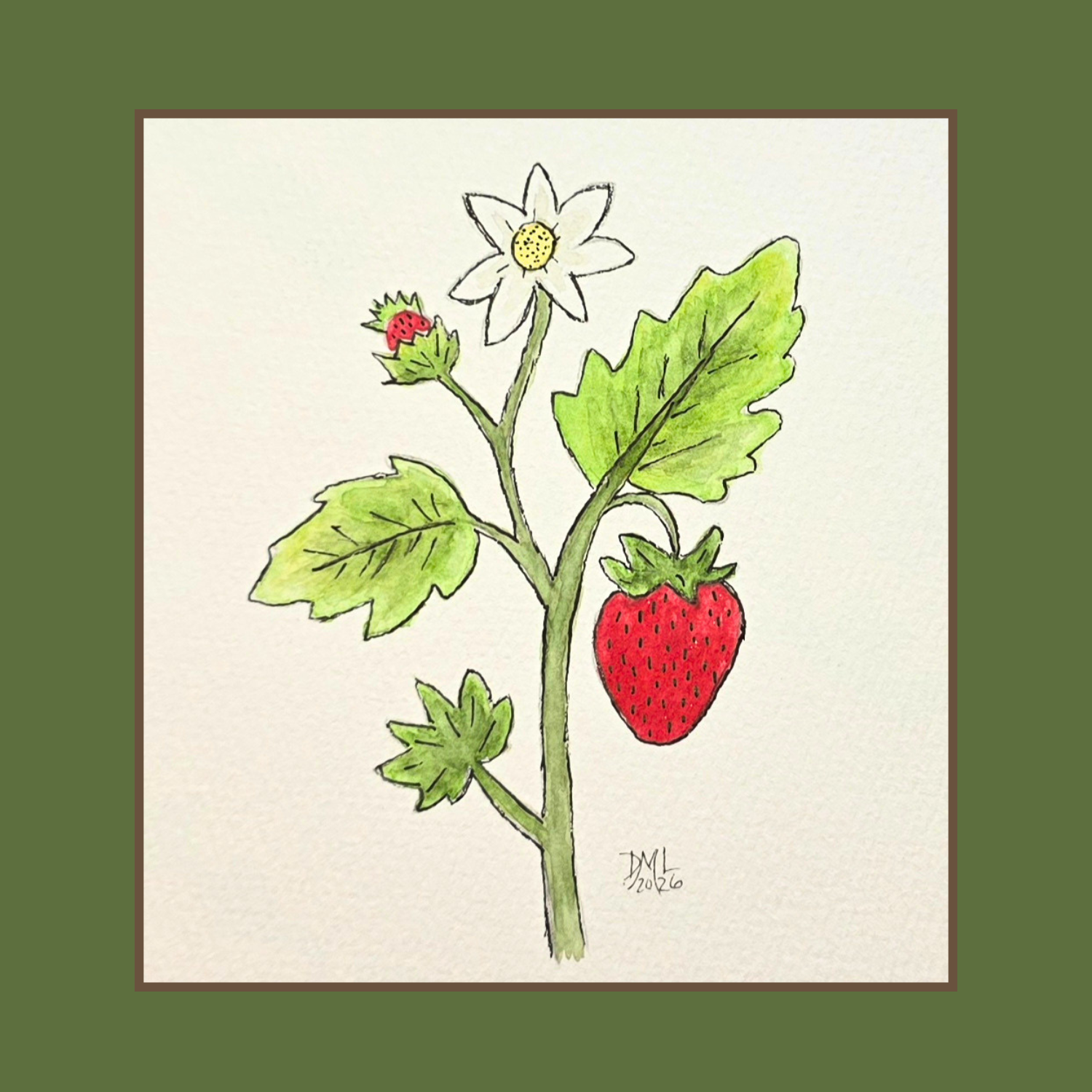 strawberry botanical watercolor tutorial